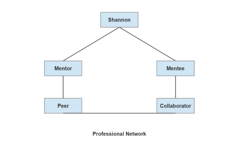 Networking and Mentorship