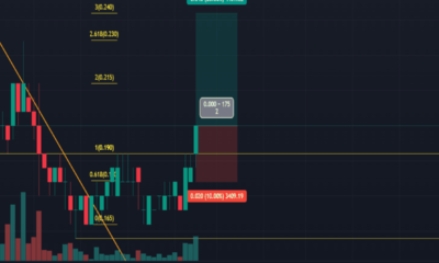 Investigating Karzorviencon Share Price