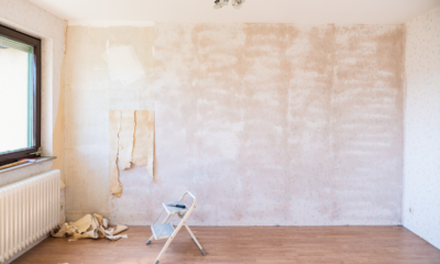 Peinture for Renovation Projects
