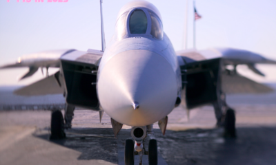 F-14s