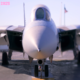 F-14s