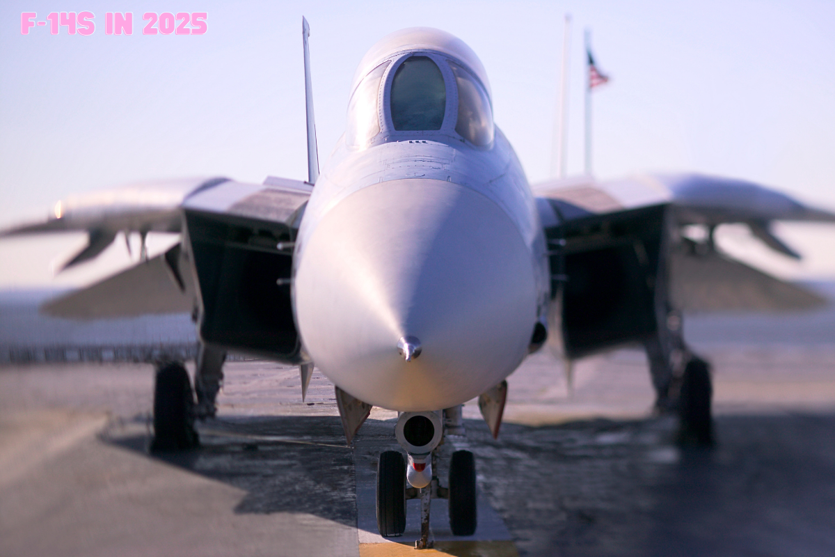 F-14s