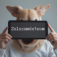 Zelasamdeteom
